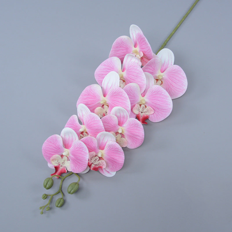 Bulk 3pcs 37" Extra Long Phalaenopsis Orchid Stems Real Touch Lucky Flowers Wholesale