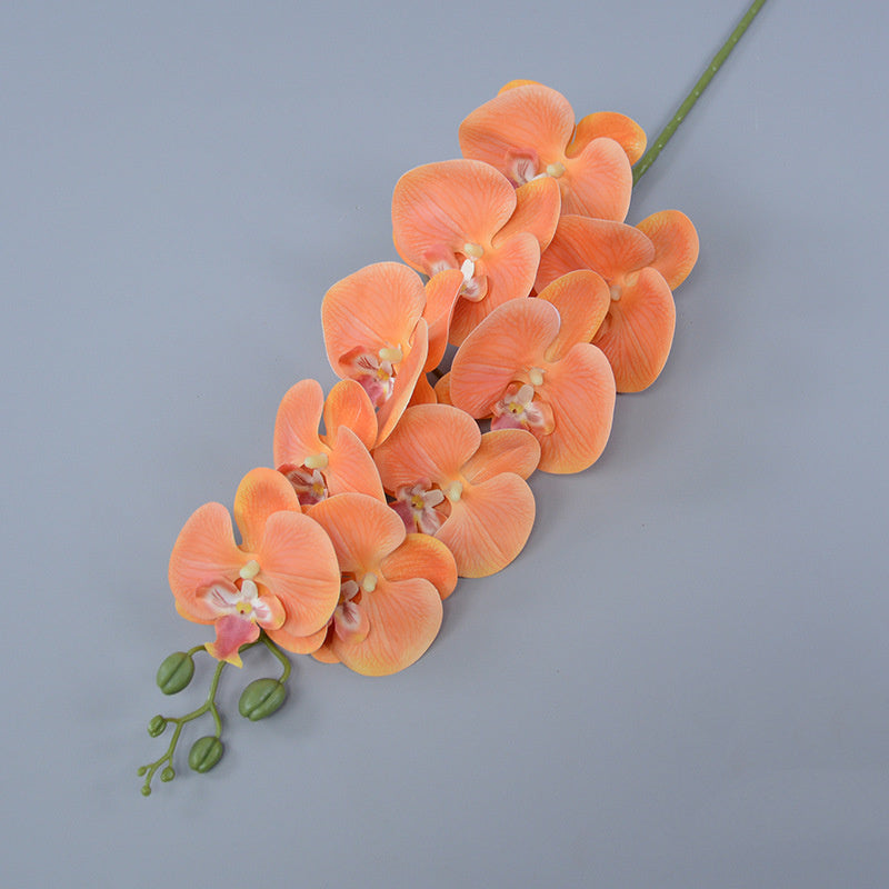 Bulk 3pcs 37" Extra Long Phalaenopsis Orchid Stems Real Touch Lucky Flowers Wholesale