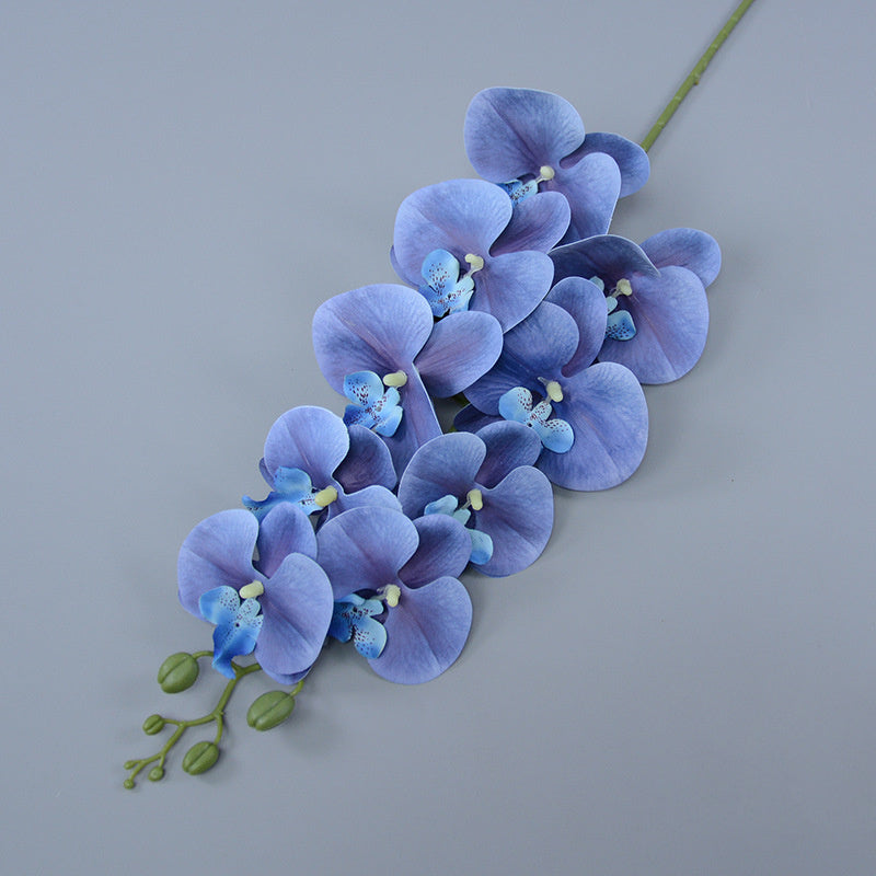 Bulk 3pcs 37" Extra Long Phalaenopsis Orchid Stems Real Touch Lucky Flowers Wholesale