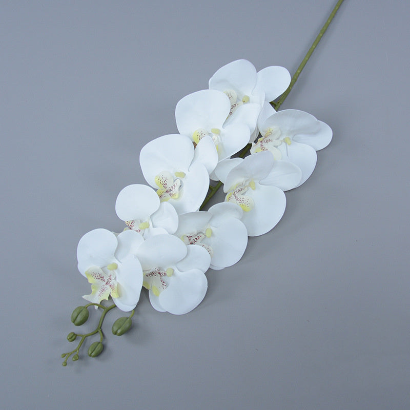 Bulk 3pcs 37" Extra Long Phalaenopsis Orchid Stems Real Touch Lucky Flowers Wholesale