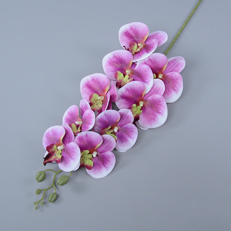 Bulk 3pcs 37" Extra Long Phalaenopsis Orchid Stems Real Touch Lucky Flowers Wholesale