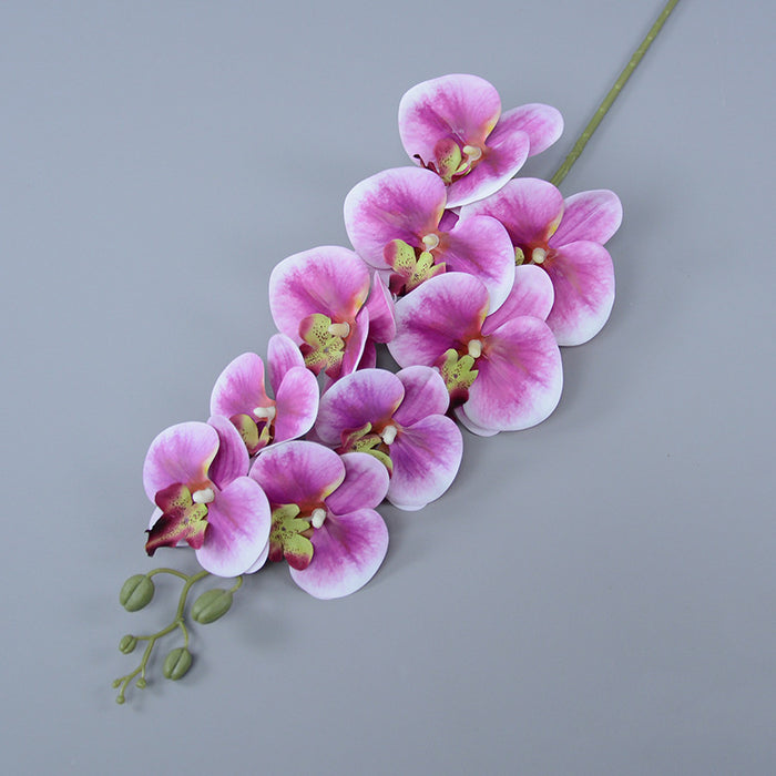 Bulk Exclusive 16 Colors Extra Long Phalaenopsis Orchid Stems Real Touch Floral Wholesale