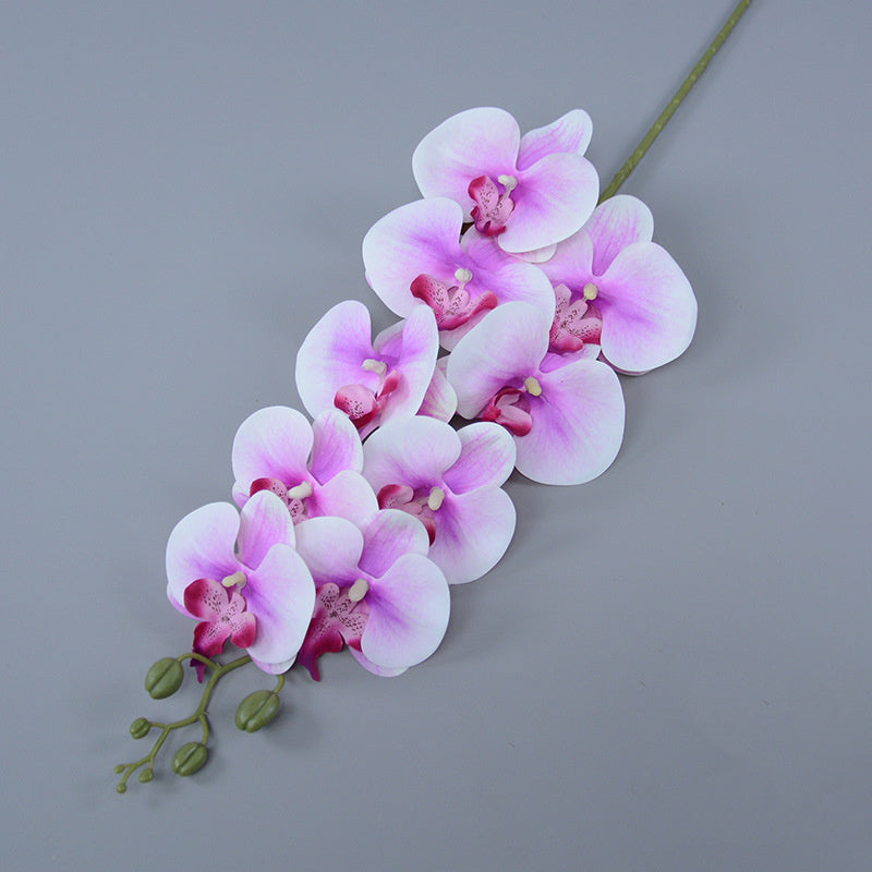 Bulk 3pcs 37" Extra Long Phalaenopsis Orchid Stems Real Touch Lucky Flowers Wholesale