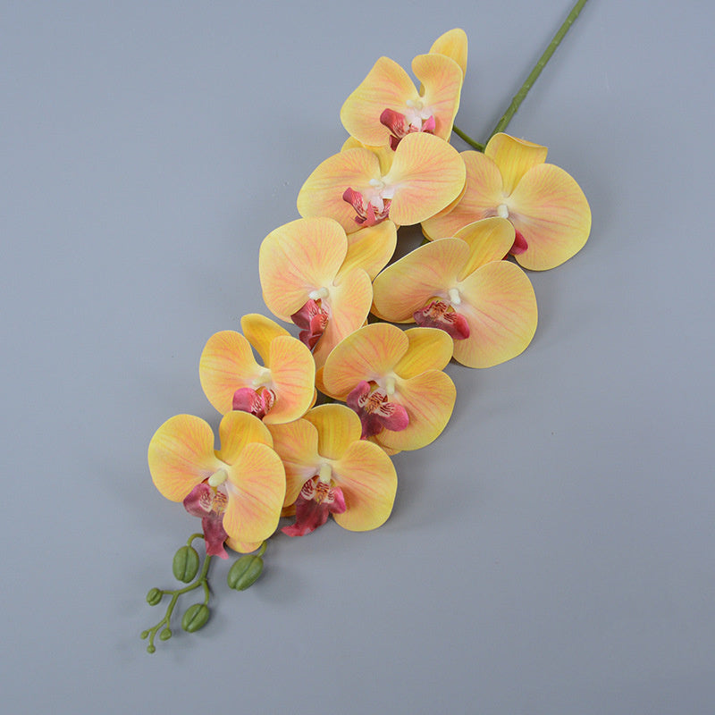 Bulk 3pcs 37" Extra Long Phalaenopsis Orchid Stems Real Touch Lucky Flowers Wholesale