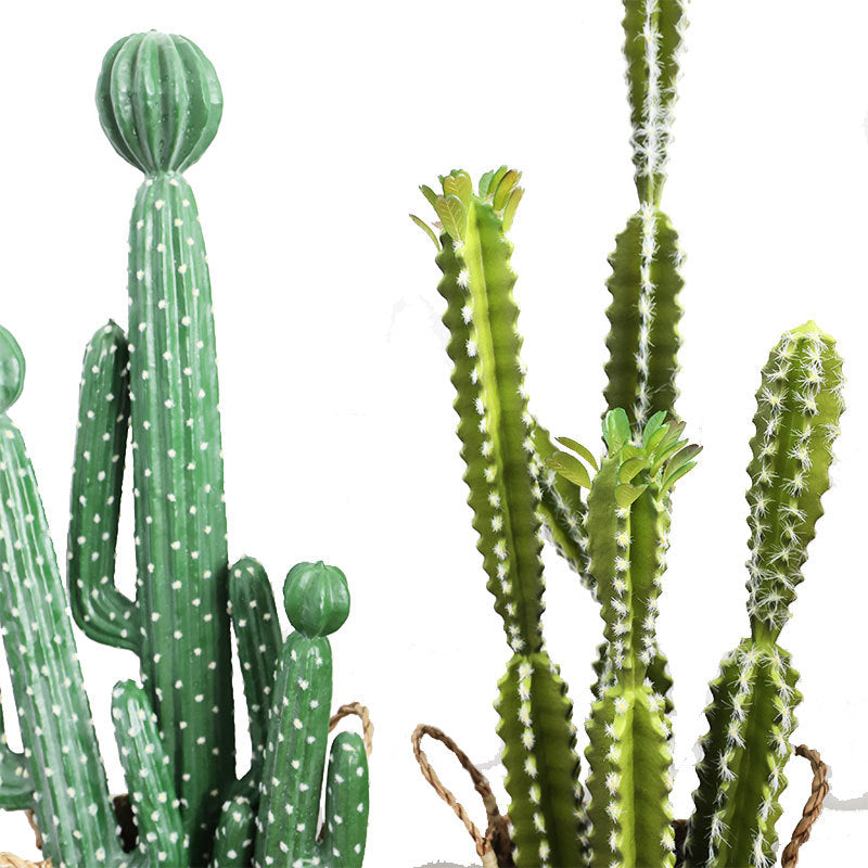 Ensemble en vrac de tiges de cactus pour aménagement paysager, plantes succulentes artificielles en gros