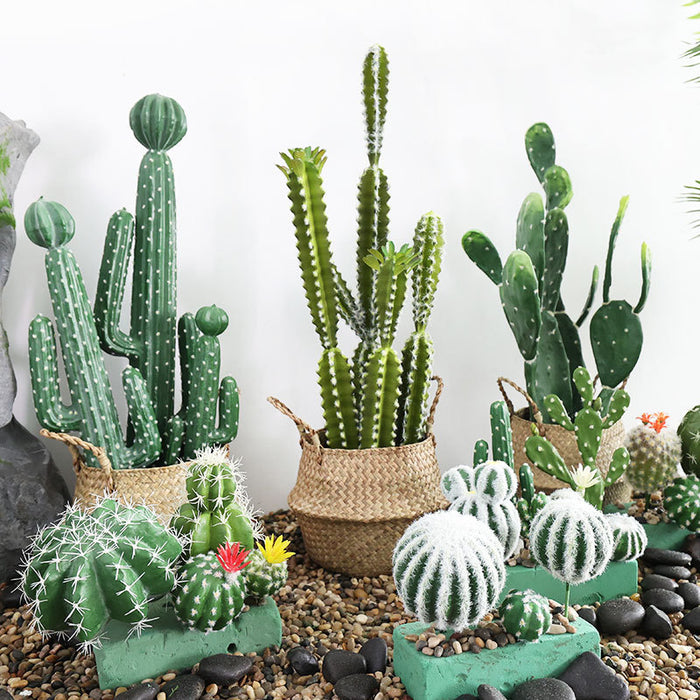 Bulk Set of Cactus Stems Landscaping Faux Succulents Plants Wholesale