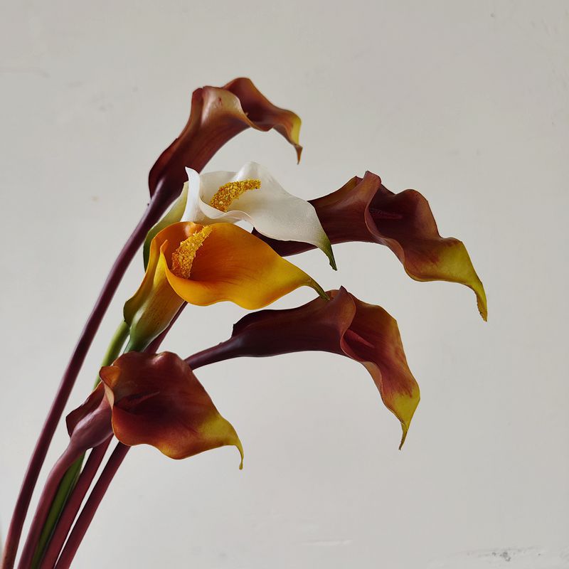 Lys calla exclusifs en vrac 25,5" Longues tiges Real Touch Floral Artificiel En Gros 