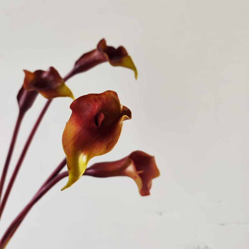 Lys calla exclusifs en vrac 25,5" Longues tiges Real Touch Floral Artificiel En Gros 