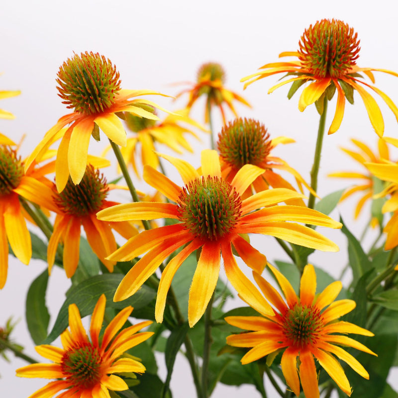 Bulk 29" Long Coneflower Stems Silk Flowers Flower Arrangement Wholesale