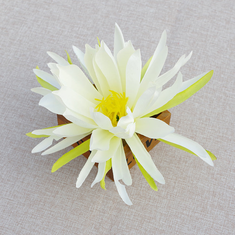 Bulk Epiphyllum Flower Heads Silk Flowers for DIY Wedding Bouquets Centerpieces Baby Shower Party Home Decorations Wholesale