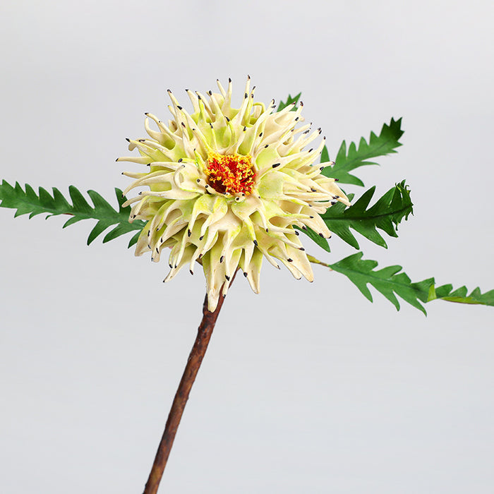 Bulk 14.5" Cirsii Herba Stems for Wedding Home Decor Wholesale