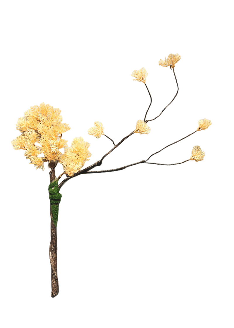 Lot de 5 branches de pin bouclées en vrac pour bonsaï de Noël, plantes artisanales, arrangements en gros