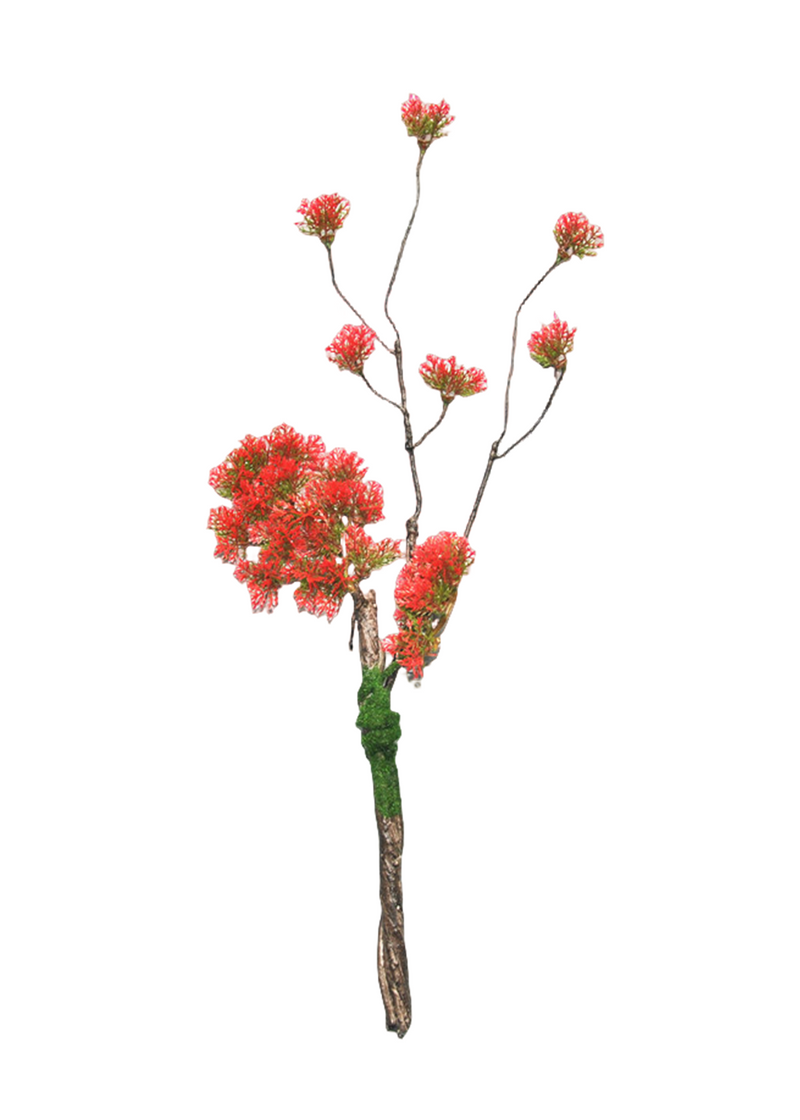 Lot de 5 branches de pin bouclées en vrac pour bonsaï de Noël, plantes artisanales, arrangements en gros