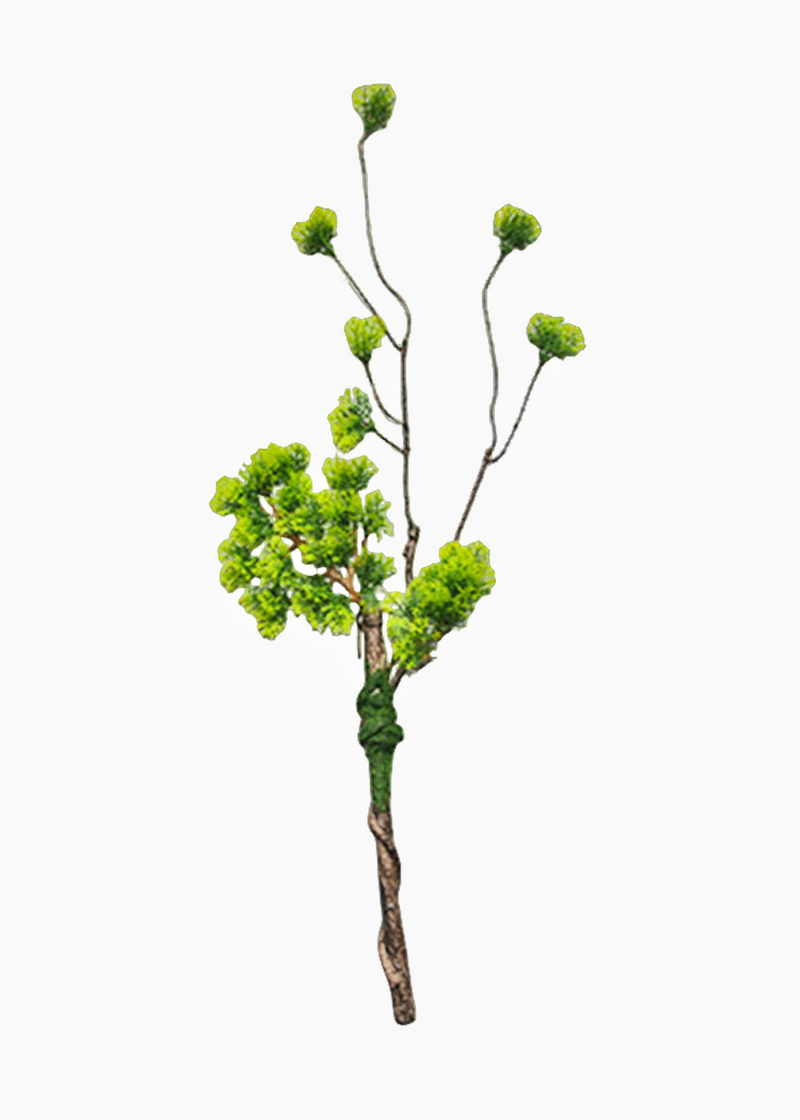 Lot de 5 branches de pin bouclées en vrac pour bonsaï de Noël, plantes artisanales, arrangements en gros