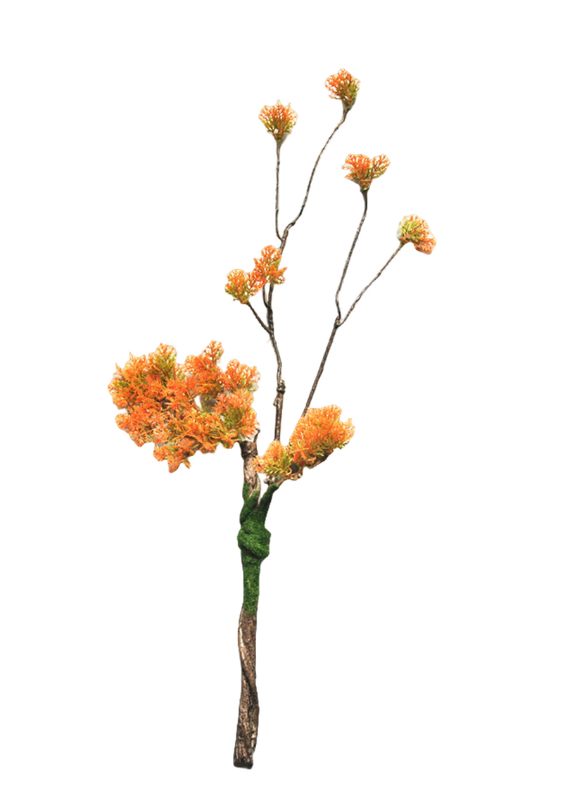 Lot de 5 branches de pin bouclées en vrac pour bonsaï de Noël, plantes artisanales, arrangements en gros