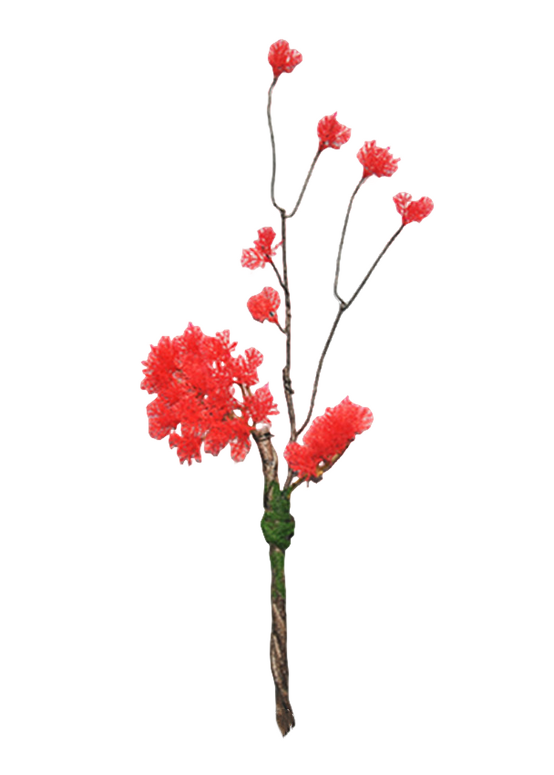 Lot de 5 branches de pin bouclées en vrac pour bonsaï de Noël, plantes artisanales, arrangements en gros