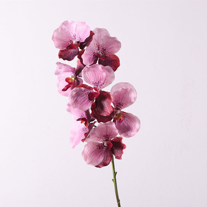 Bulk 31 inches Tall Extra Long Vanda Orchid Stems Real Touch Floral Wholesale