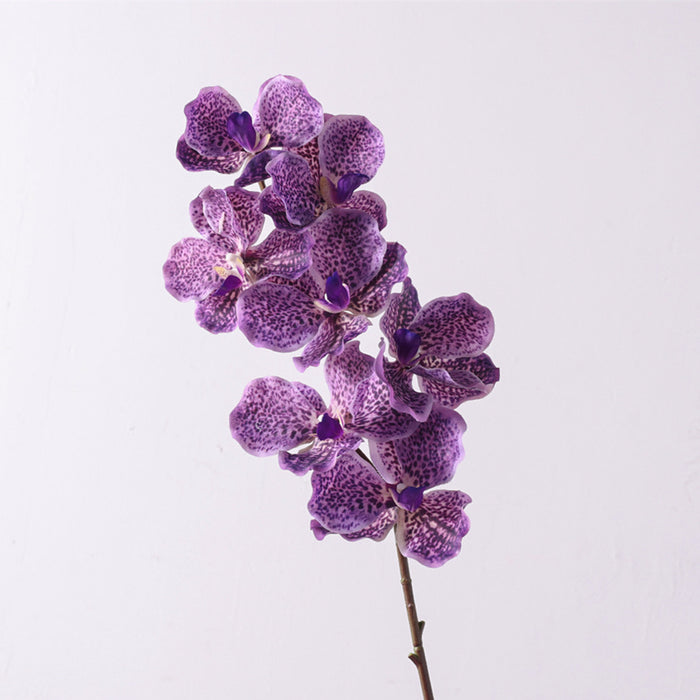 Bulk 31 inches Tall Extra Long Vanda Orchid Stems Real Touch Floral Wholesale