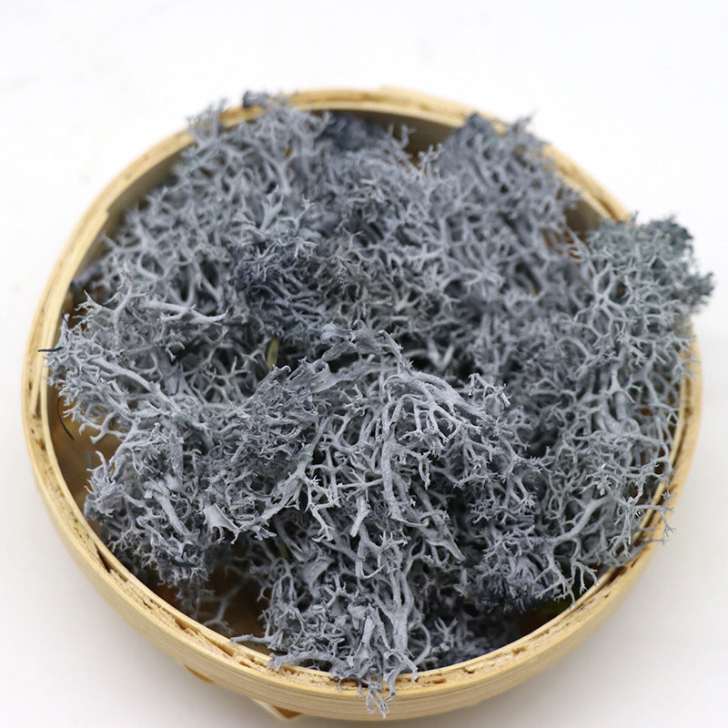 Musgo conservado a granel para manualidades, centros de mesa, jardín de hadas, decoración para fiesta de boda, venta al por mayor 