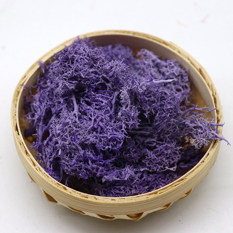 Musgo conservado a granel para manualidades, centros de mesa, jardín de hadas, decoración para fiesta de boda, venta al por mayor 