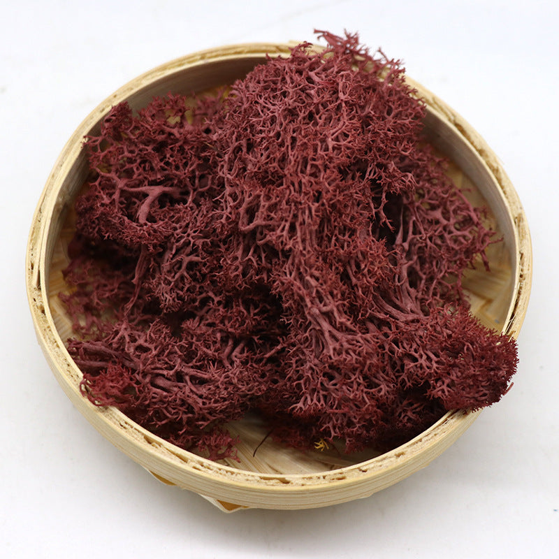 Musgo conservado a granel para manualidades, centros de mesa, jardín de hadas, decoración para fiesta de boda, venta al por mayor 