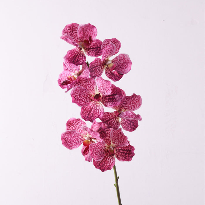 Bulk 31 inches Tall Extra Long Vanda Orchid Stems Real Touch Floral Wholesale