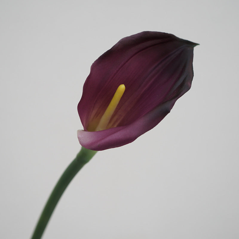 Premium Real Touch Calla Lily Stem