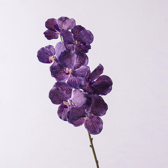 Bulk 31 inches Tall Extra Long Vanda Orchid Stems Real Touch Floral Wholesale