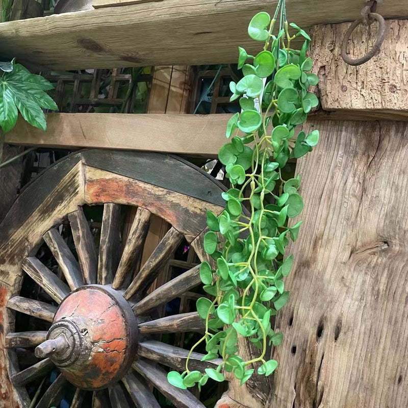 Bulk 23" Pennywort Garland Lucky Hydrocotyle vulgaris Hanging Greenery Plant Wholesale