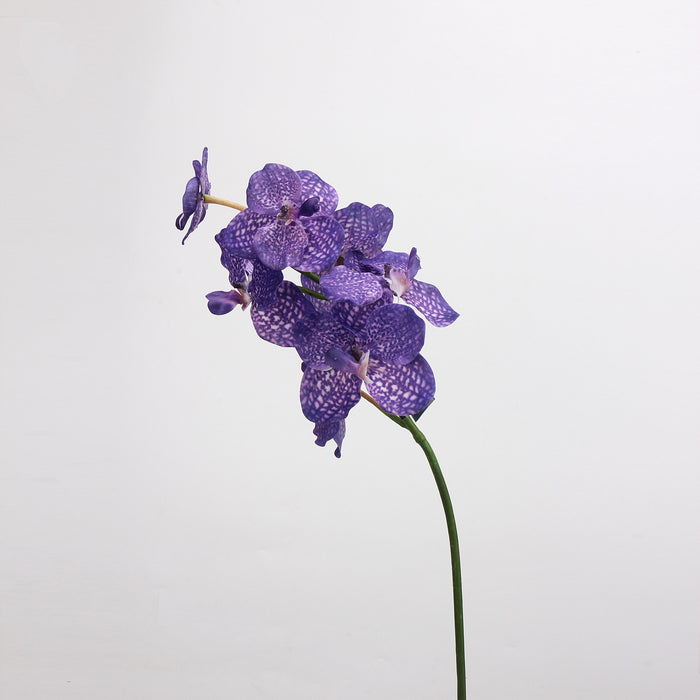 Bulk 21.6 inches Tall Dreamy Orchids Real Touch Flowers Stems Spray Wholesale