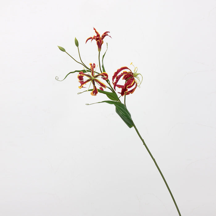 Bulk 29.5 inches Tall Gloriosa Lily Spray Stems Gloriosa Superba Flowers Wholesale