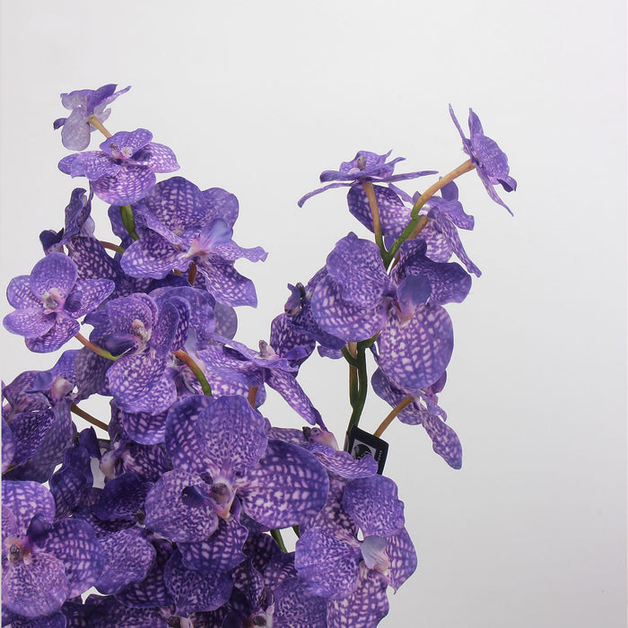 Bulk 21.6 inches Tall Dreamy Orchids Real Touch Flowers Stems Spray Wholesale