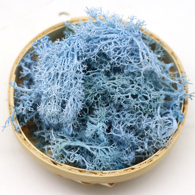 Musgo conservado a granel para manualidades, centros de mesa, jardín de hadas, decoración para fiesta de boda, venta al por mayor 