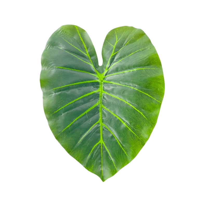 Lot de 10 feuilles artificielles en feuille d'éléphant pour présentation et emballage de gâteaux, vente en gros