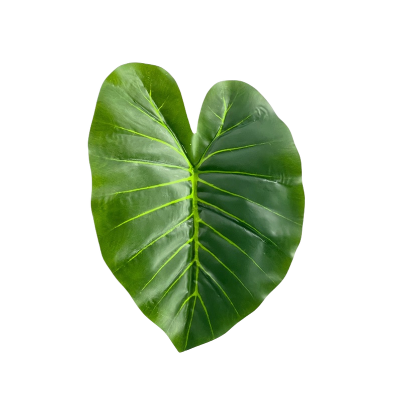 Lot de 10 feuilles artificielles en feuille d'éléphant pour présentation et emballage de gâteaux, vente en gros