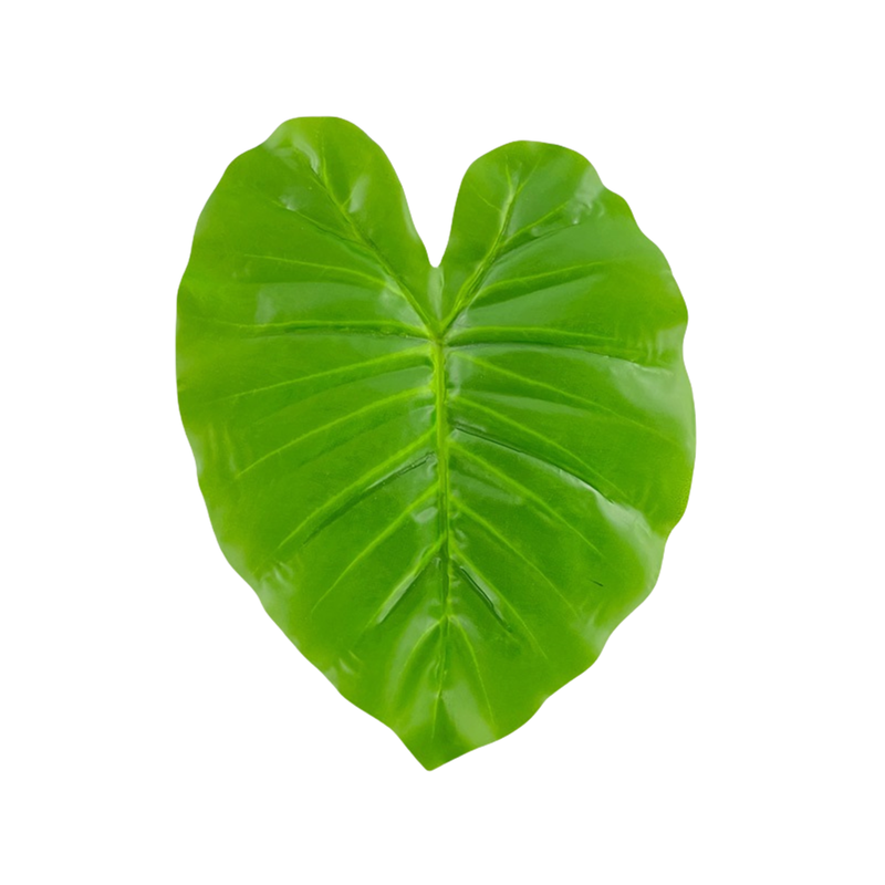 Lot de 10 feuilles artificielles en feuille d'éléphant pour présentation et emballage de gâteaux, vente en gros