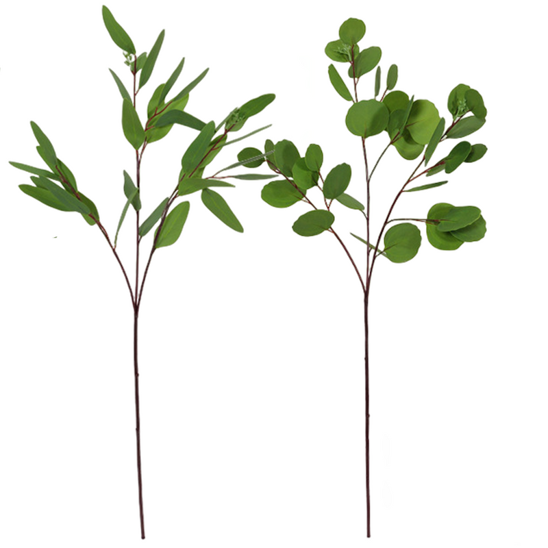 Tiges d'eucalyptus extra hautes en vrac de 31 po, décoration de plantes d'eucalyptus vertes en gros
