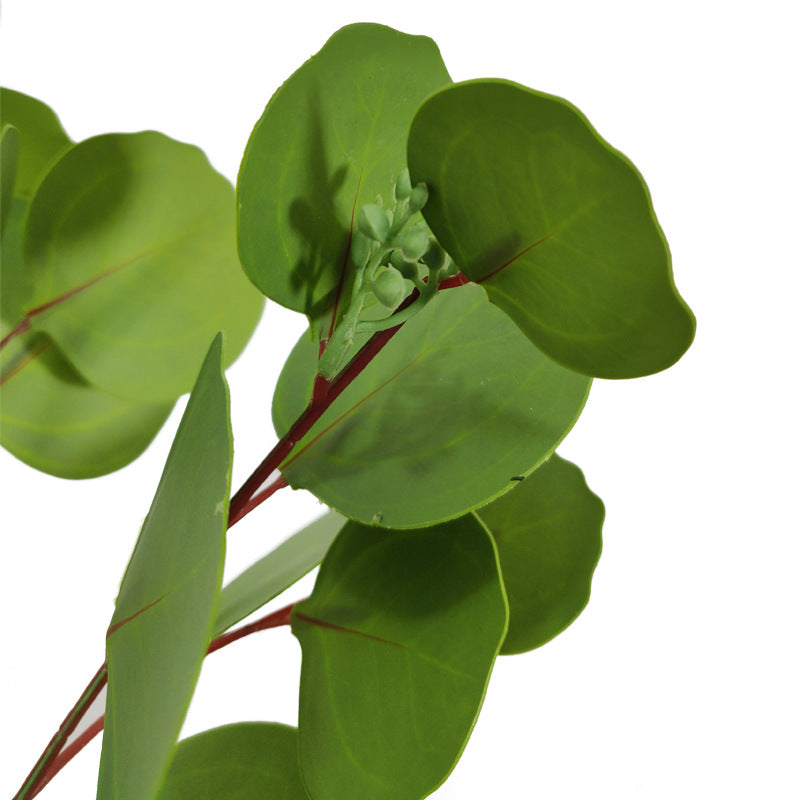 Tiges d'eucalyptus extra hautes en vrac de 31 po, décoration de plantes d'eucalyptus vertes en gros