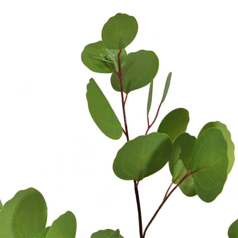 Tiges d'eucalyptus extra hautes en vrac de 31 po, décoration de plantes d'eucalyptus vertes en gros