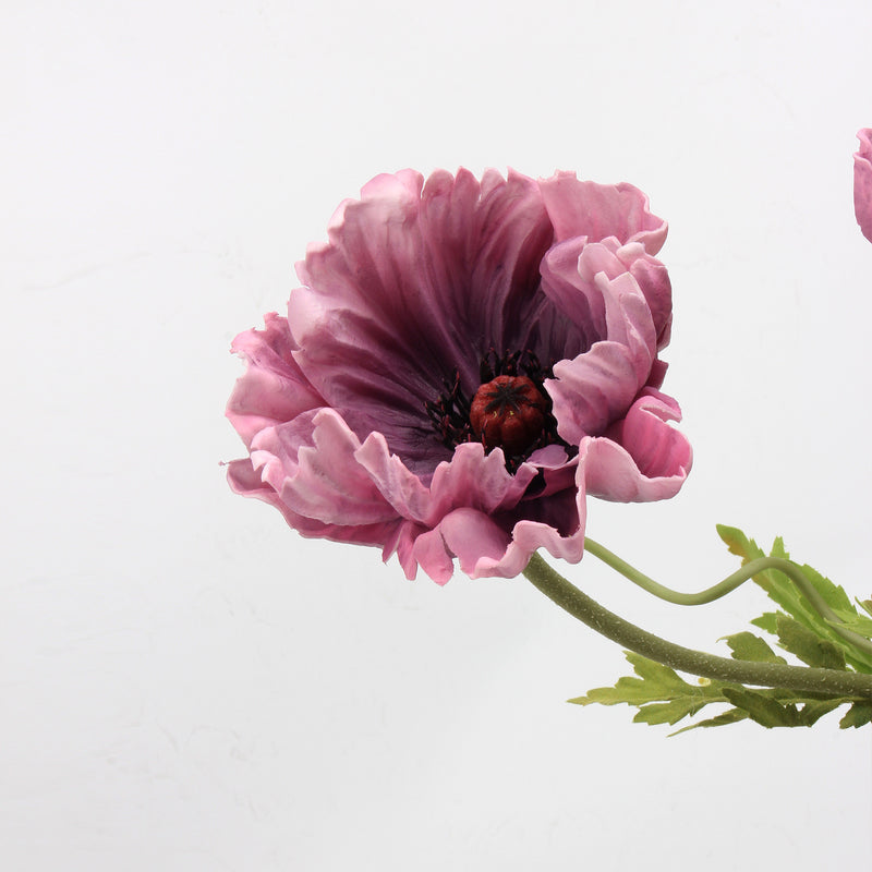 Tiges de coquelicots brûlés d'automne de 25 pouces de hauteur, décoration d'automne et d'hiver en gros 