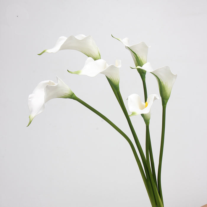 Bulk Exclusive Call Lily Stems Real Touch Call Lily Flowers Wholesale