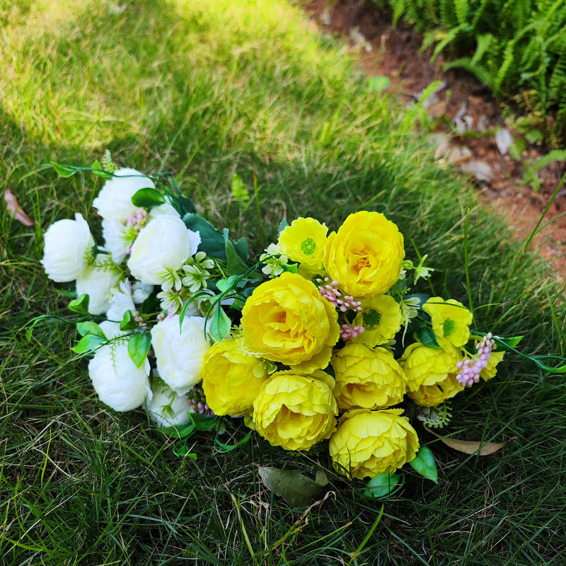 Bulk 4pcs 12" Small Mixed Peony Daisy Bush Plants for Outdoors Spring Outdoor Flowers Wholesale