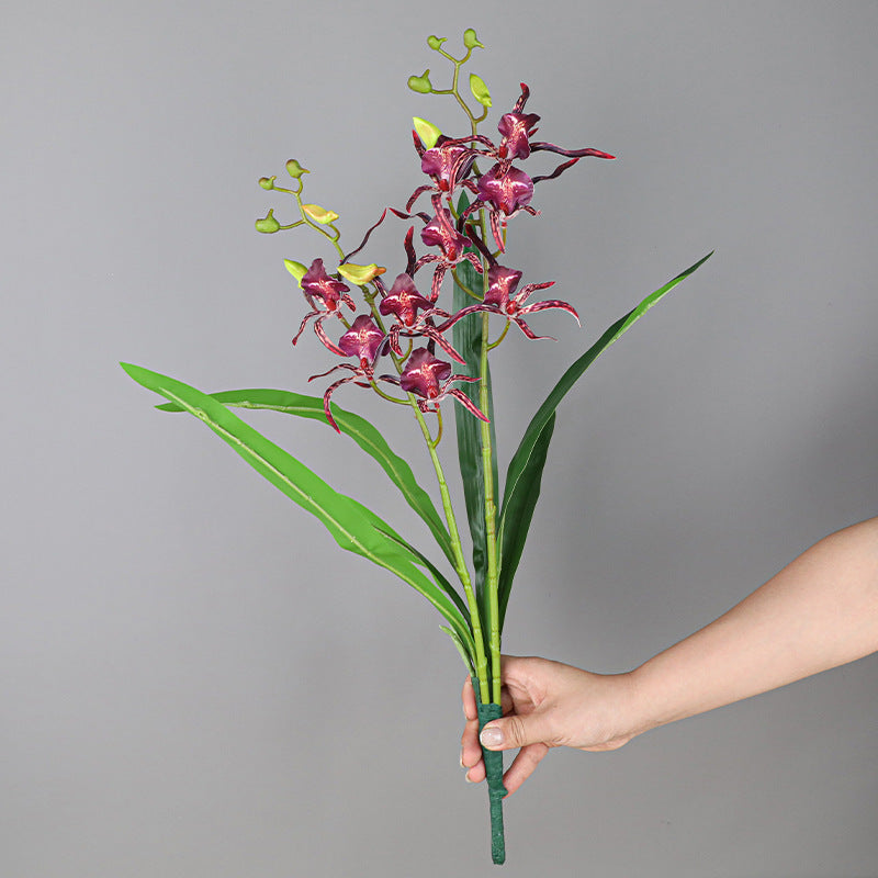 Tiges de buisson de fleurs de lys araignée en vrac avec feuilles pour l'artisanat Bonsaï DIY en gros