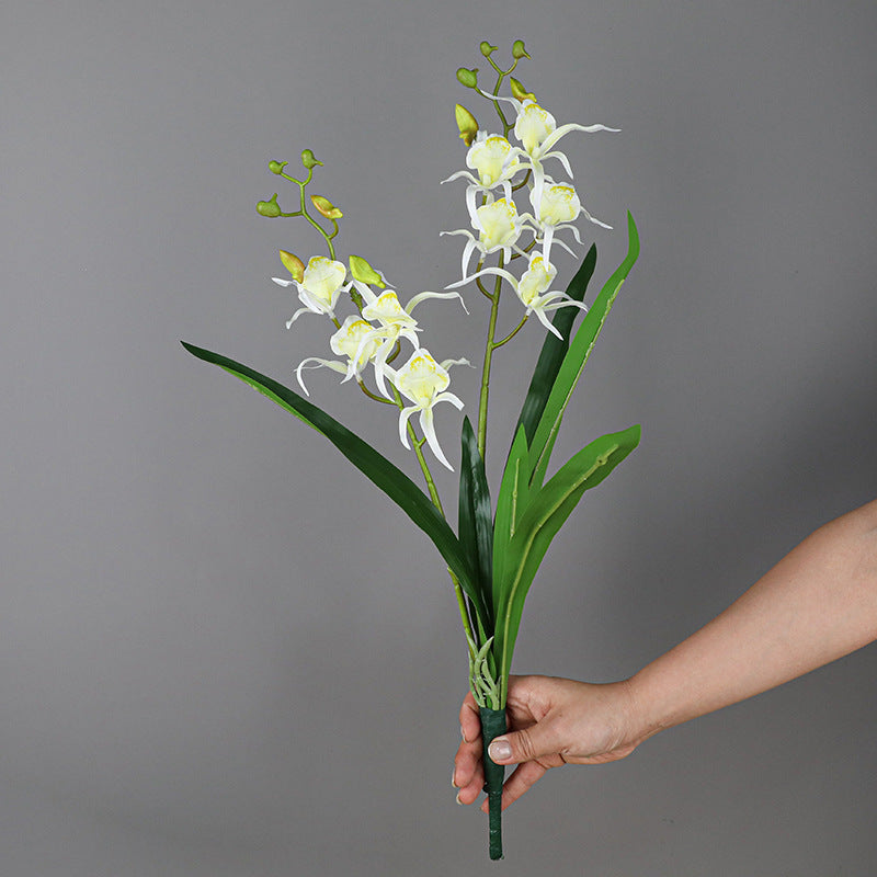 Tiges de buisson de fleurs de lys araignée en vrac avec feuilles pour l'artisanat Bonsaï DIY en gros