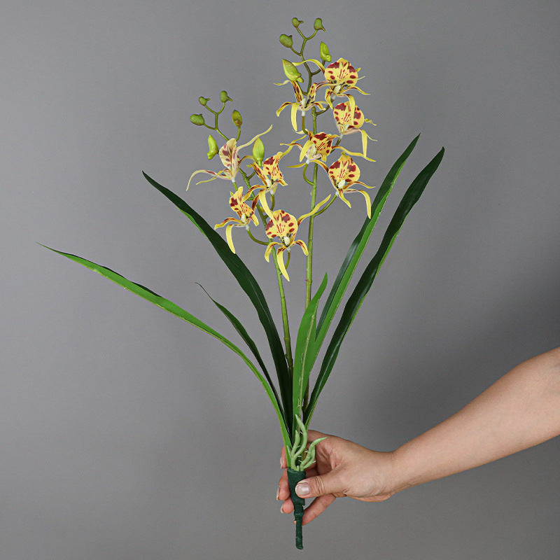 Tiges de buisson de fleurs de lys araignée en vrac avec feuilles pour l'artisanat Bonsaï DIY en gros