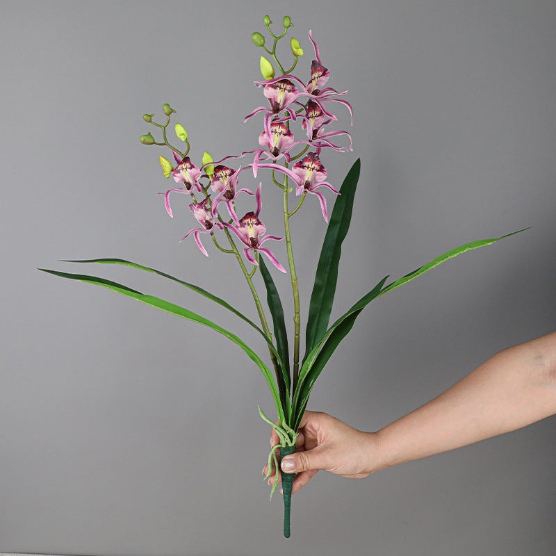 Tiges de buisson de fleurs de lys araignée en vrac avec feuilles pour l'artisanat Bonsaï DIY en gros