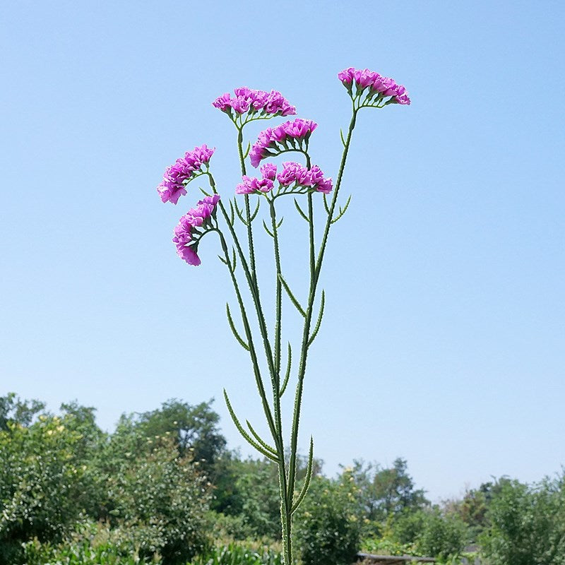 Bulk 26" Forget Me Not Stems Spray Branches Faux Silk Flowers Arrangements Wholesale