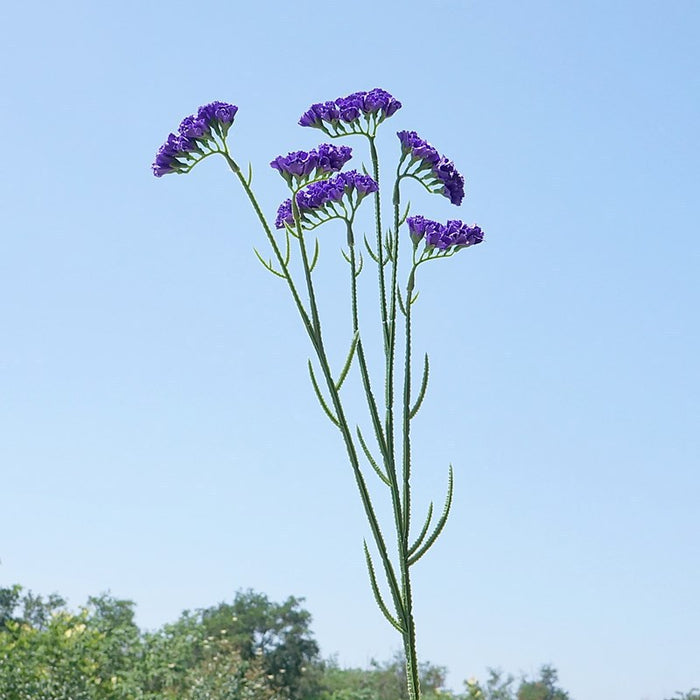 Bulk 26" Forget Me Not Stems Spray Branches Faux Silk Flowers Arrangements Wholesale