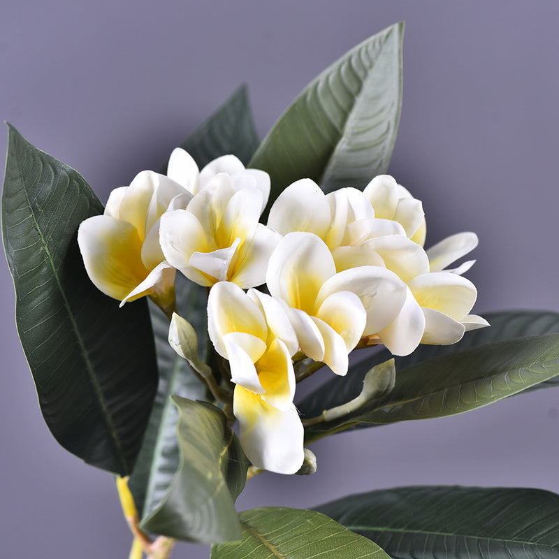 Bulk 6Pcs 28" Frangipani Bouquets Beach Hawaii Luau Party Wholesale