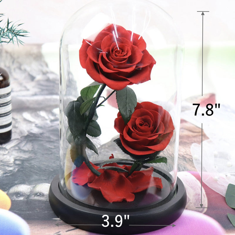 Bulk 3Pcs Gifts for Her Women Rose Flower Rose in Glass Cover Valentines Anniversary Wedding Gifts Wholesale